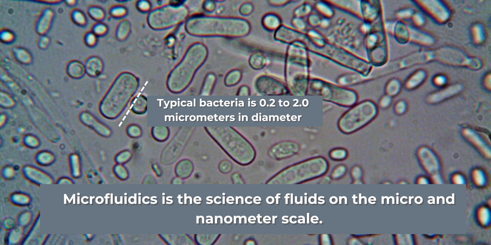 microfluidics